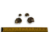 F 02080
<br/>
<br/>
<em></em>